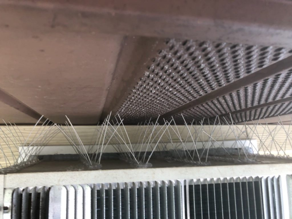 bird spikes on AC unit for apartment