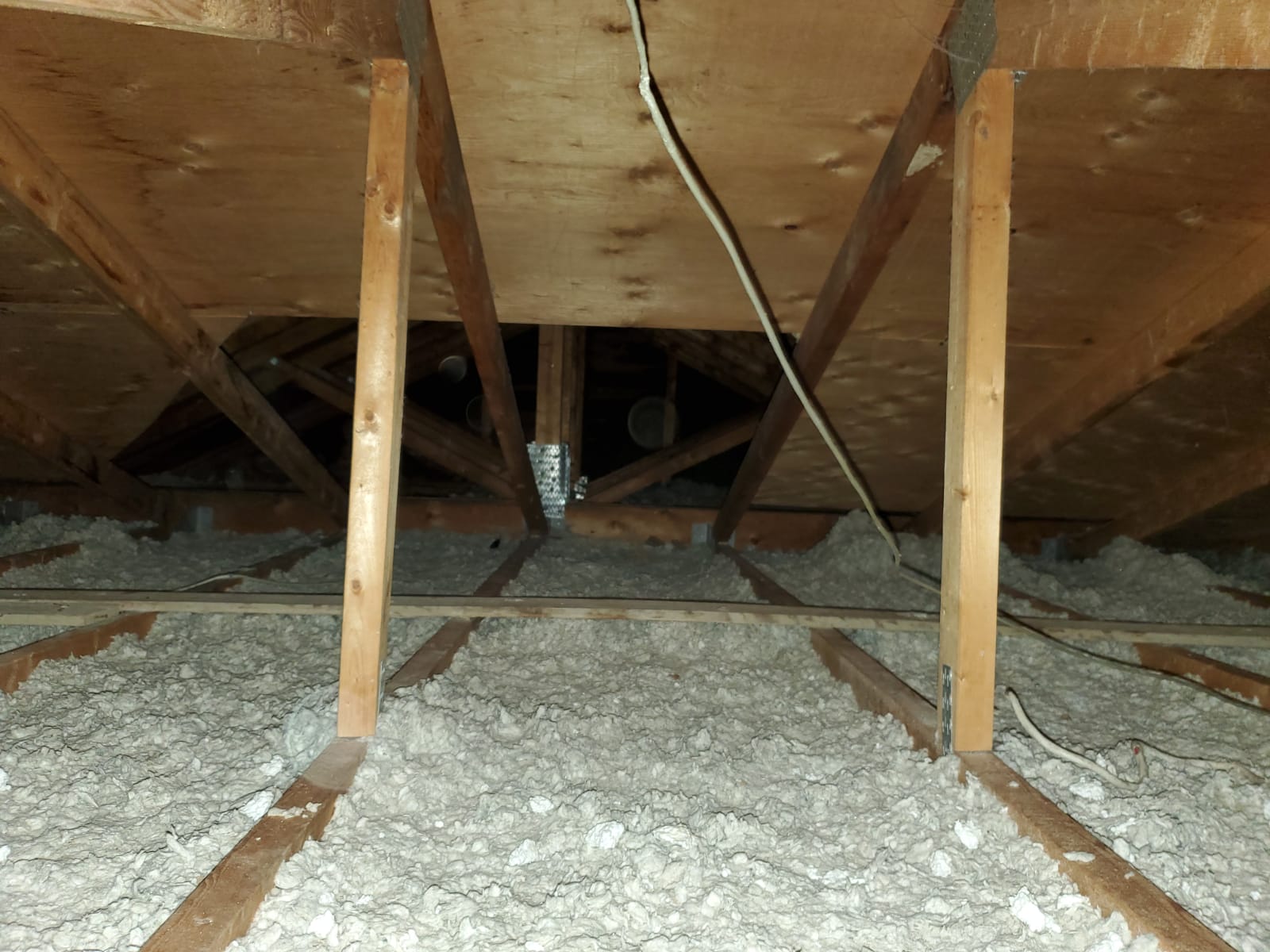 How to Get Rid of Mice in the Attic Insulation - Attic Insulation Toronto