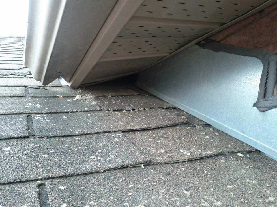 raccoon damage roof return and soffit